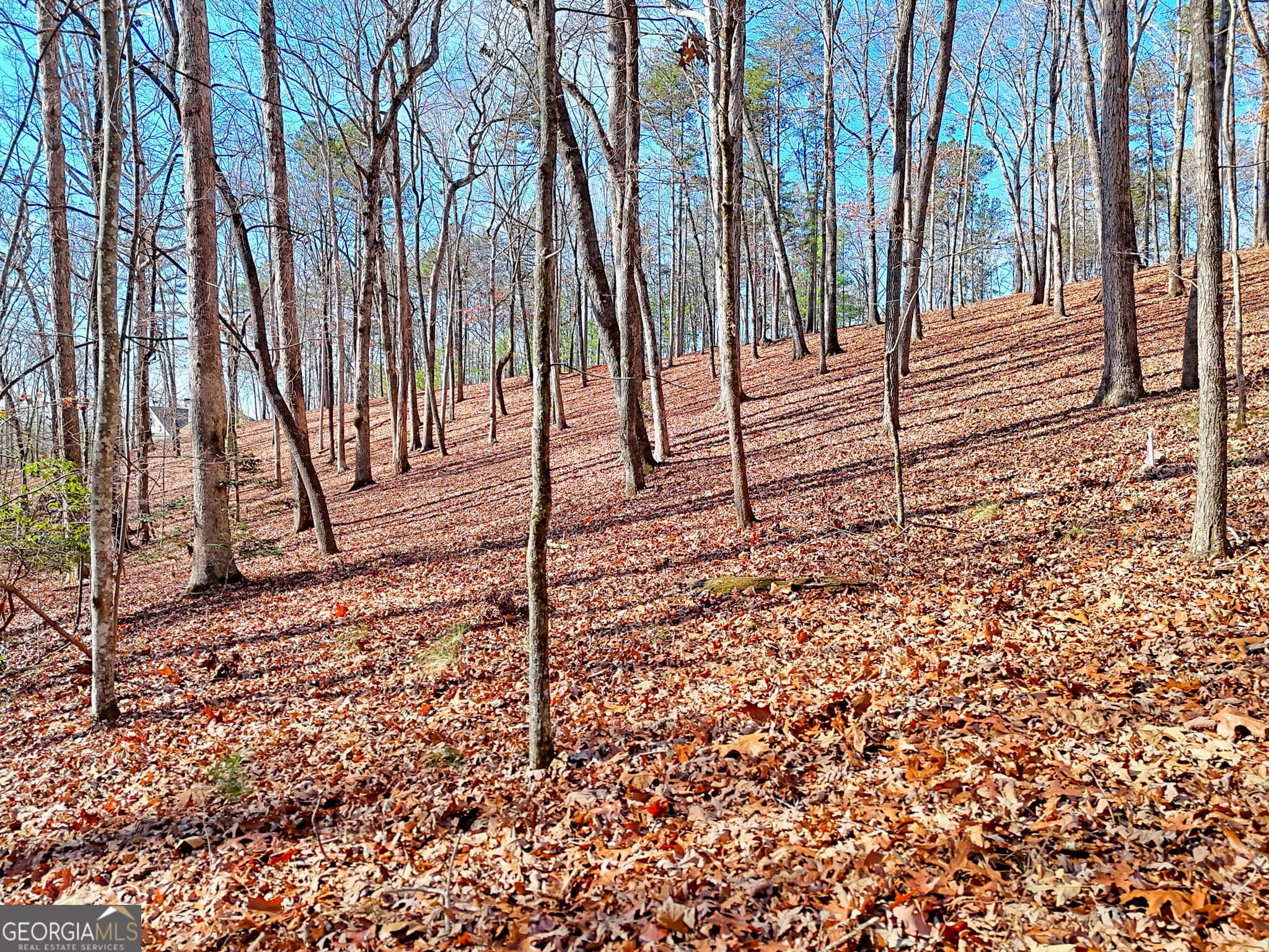 residential lot for sale at 0 Rome Beauty Lane 1106, Clarkesville, GA 30523 — photo 6