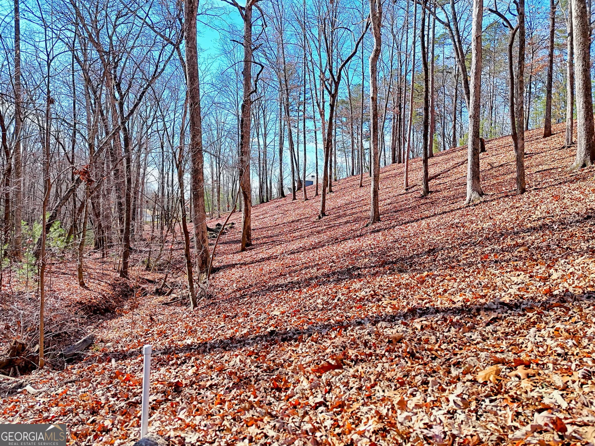 residential lot for sale at 0 Rome Beauty Lane 1106, Clarkesville, GA 30523 — photo 7