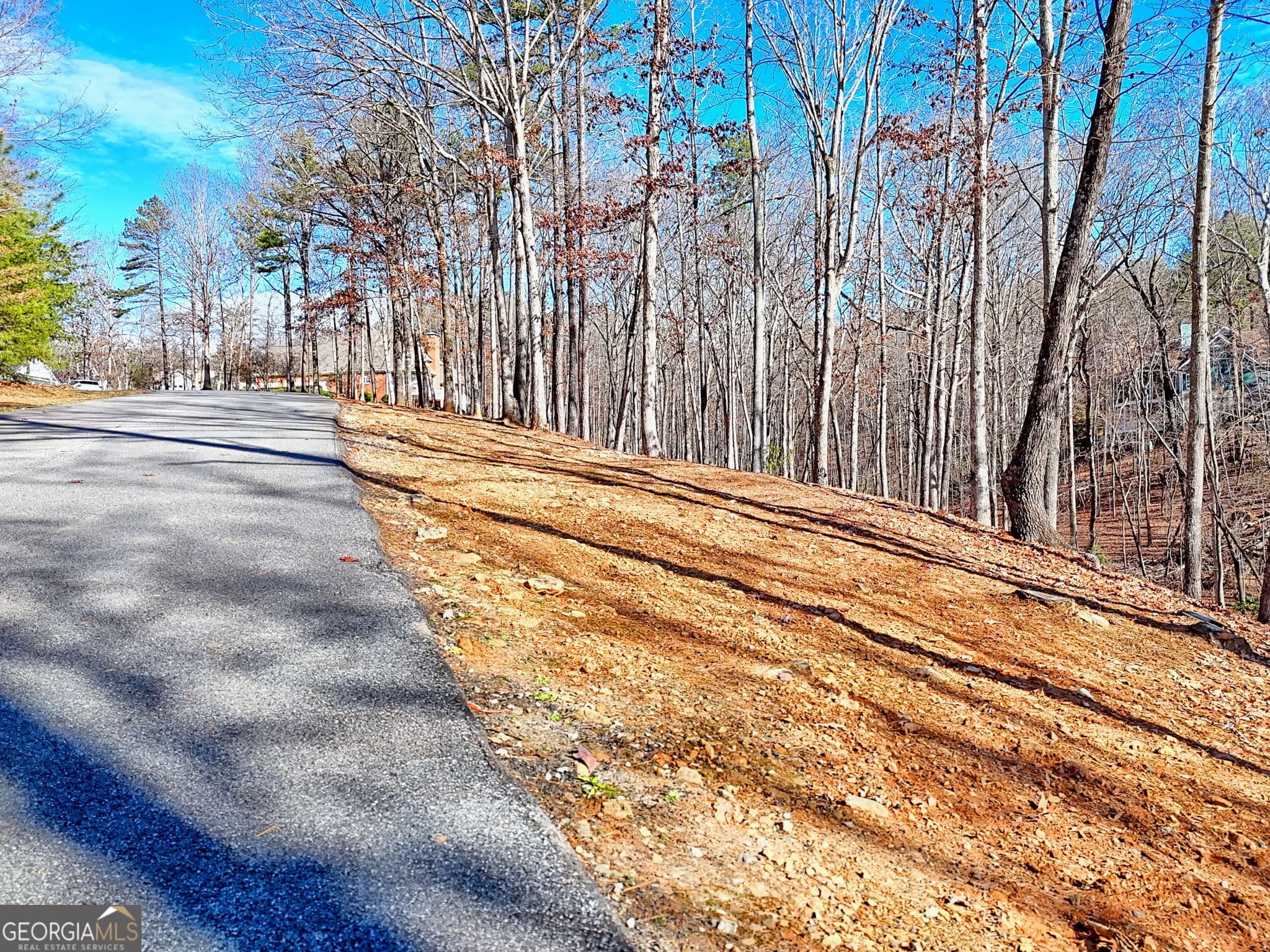 residential lot for sale at 0 Rome Beauty Lane 1106, Clarkesville, GA 30523 — photo 3