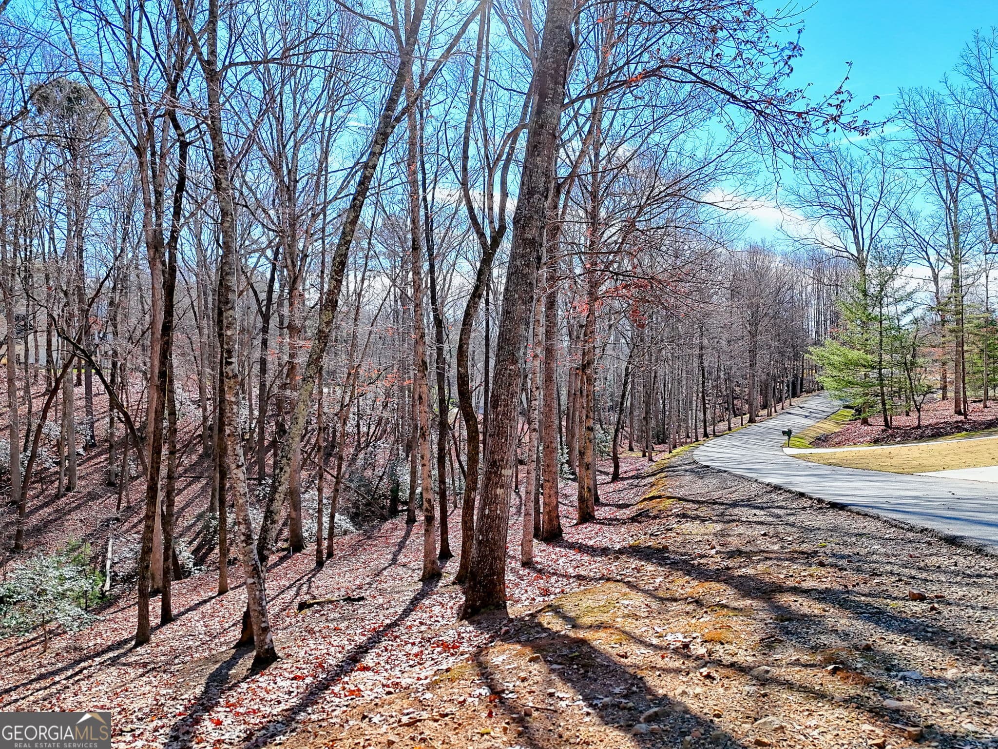 residential lot for sale at 0 Rome Beauty Lane 1106, Clarkesville, GA 30523 — photo 1 of 17