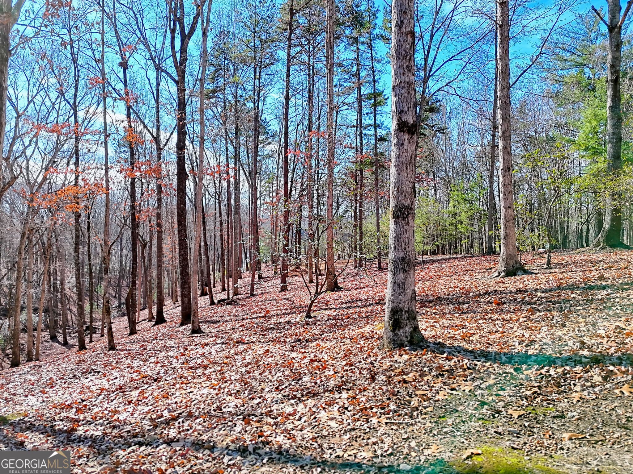 residential lot for sale at 0 Rome Beauty Lane 1106, Clarkesville, GA 30523 — photo 5