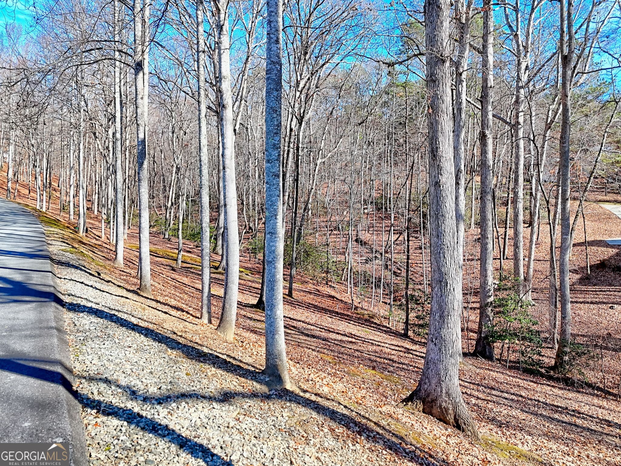 residential lot for sale at 0 Rome Beauty Lane 1106, Clarkesville, GA 30523 — photo 9