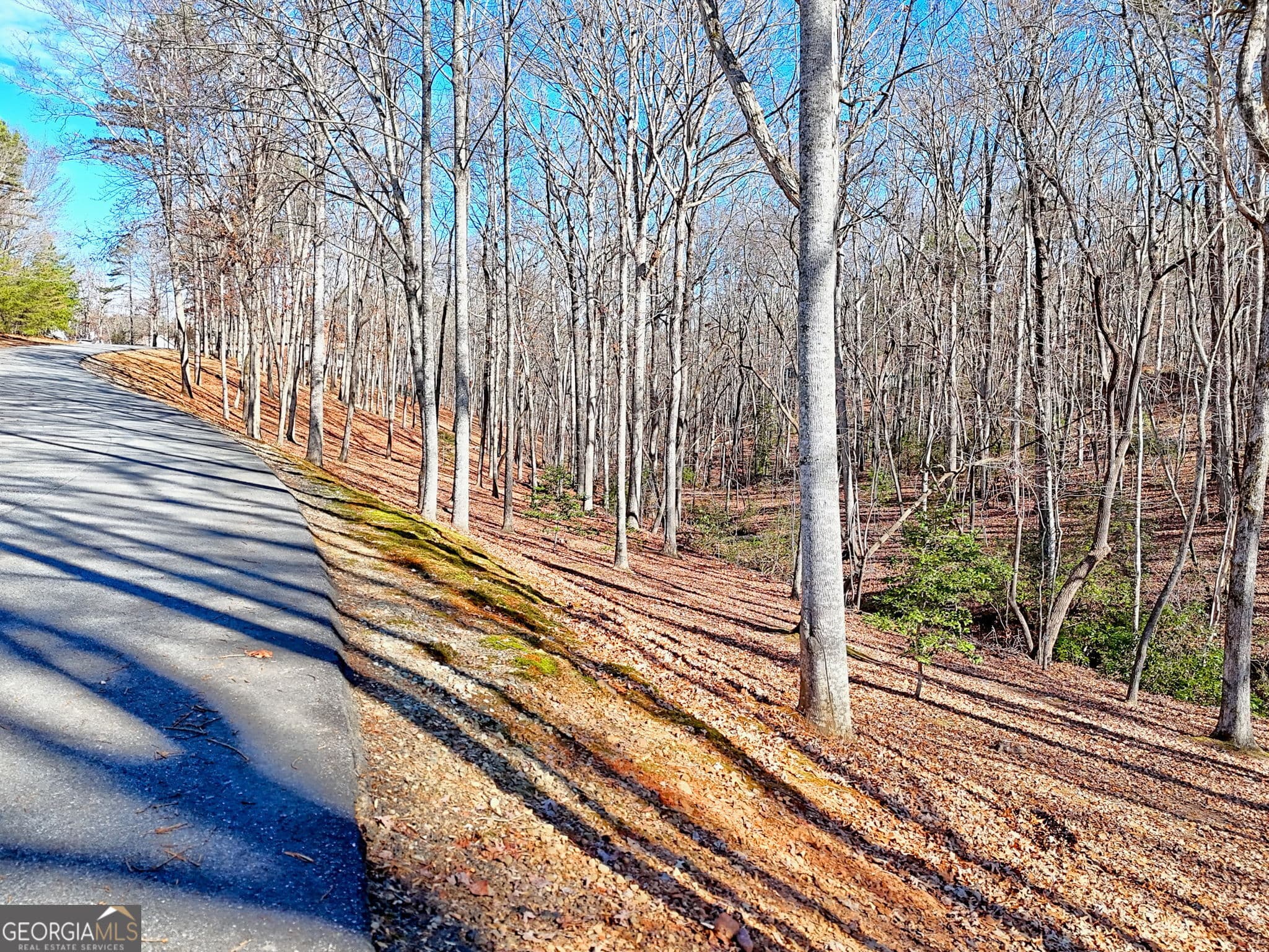 residential lot for sale at 0 Rome Beauty Lane 1106, Clarkesville, GA 30523 — photo 10
