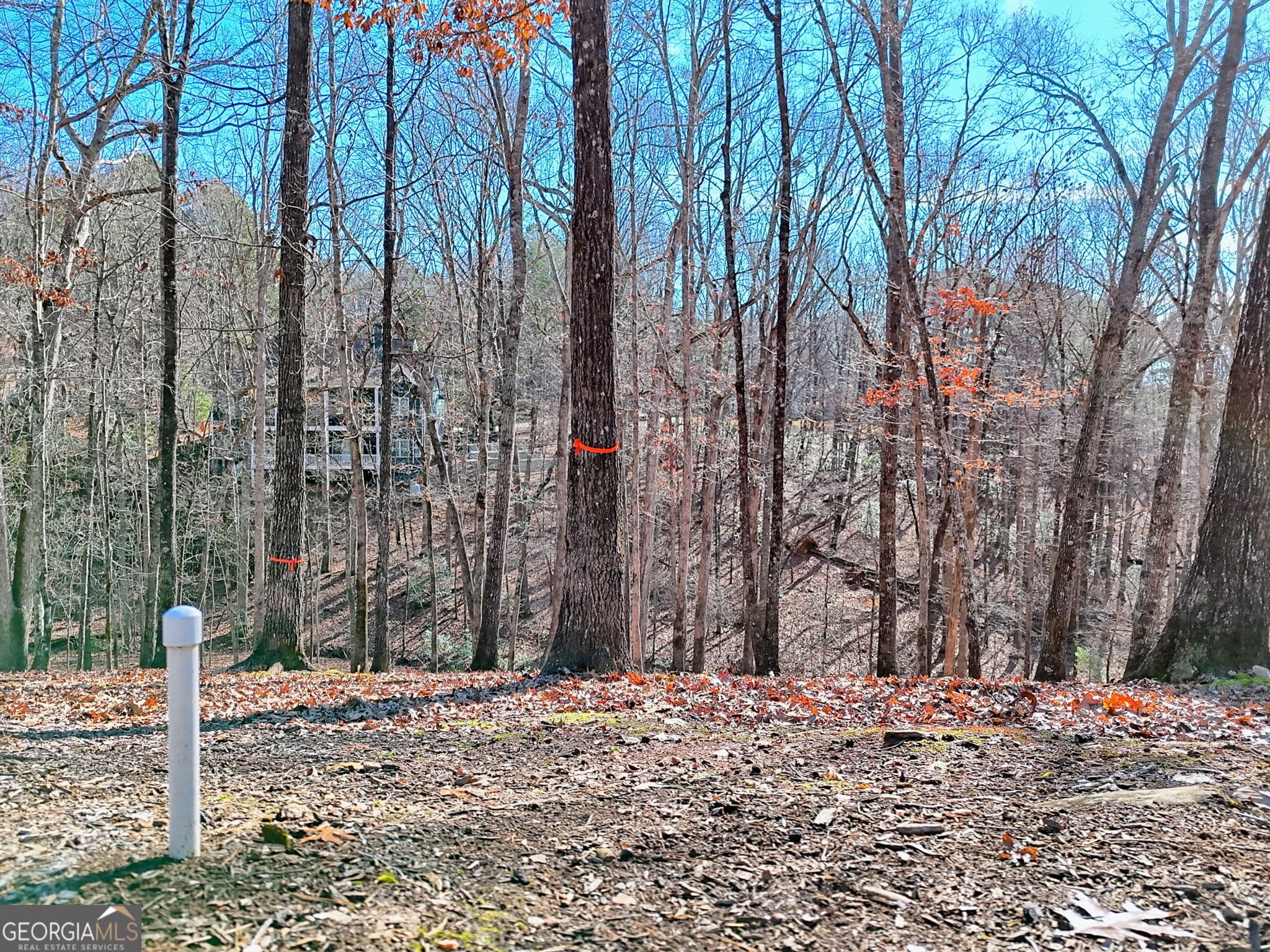 residential lot for sale at 0 Rome Beauty Lane 1106, Clarkesville, GA 30523 — photo 4