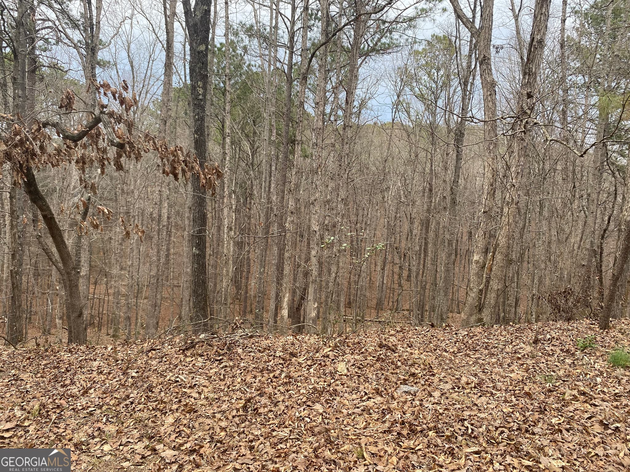 residential lot for sale at 0 Warwick Way, Rome, GA 30161 — photo 2