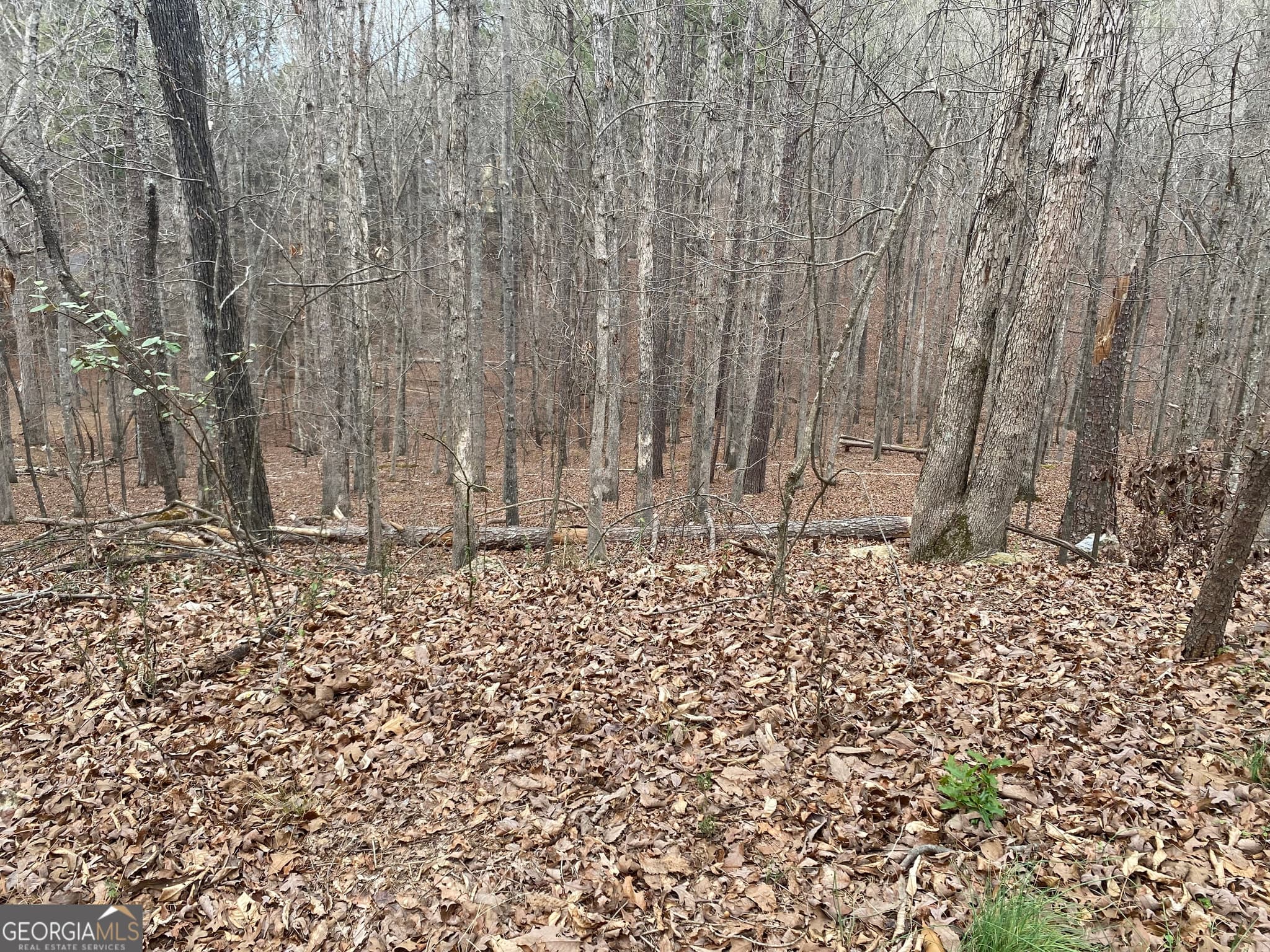 residential lot for sale at 0 Warwick Way, Rome, GA 30161 — photo 3