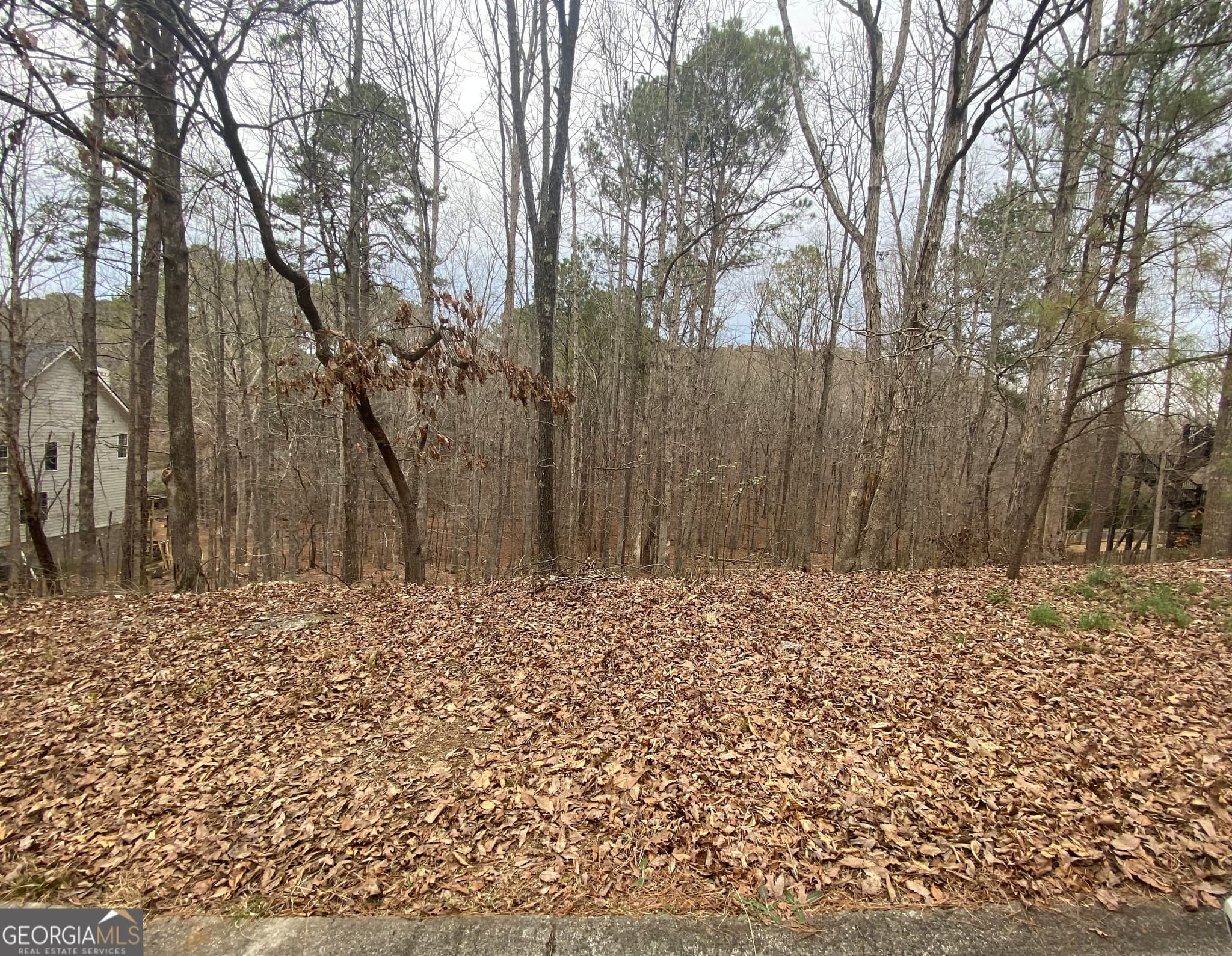 residential lot for sale at 0 Warwick Way, Rome, GA 30161 — photo 1 of 6