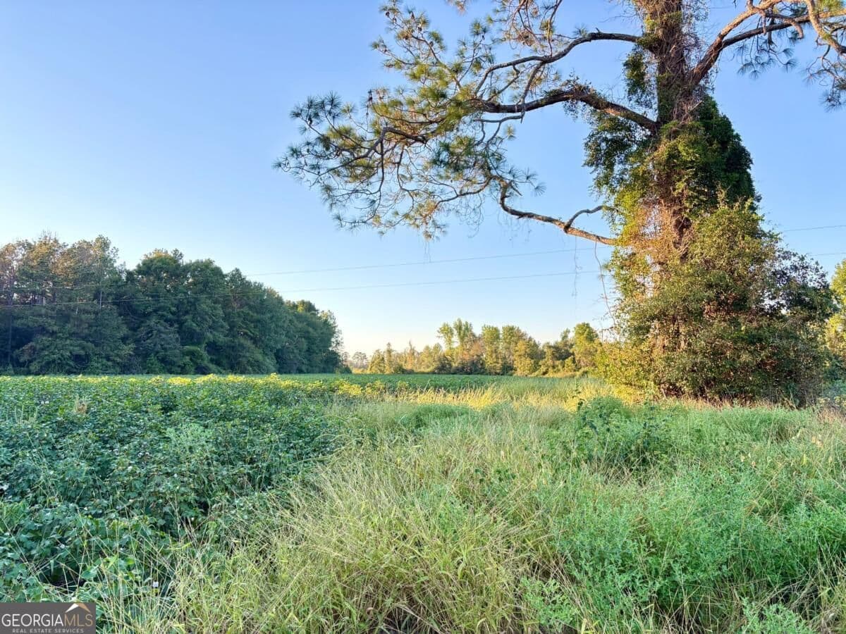 unimproved land for sale at 0 Old Moore Road 1, Portal, GA 30450 — photo 6