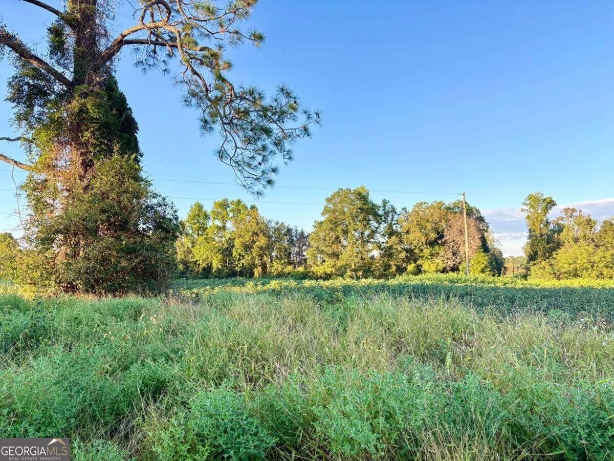 unimproved land for sale at 0 Old Moore Road 1, Portal, GA 30450 — photo 7