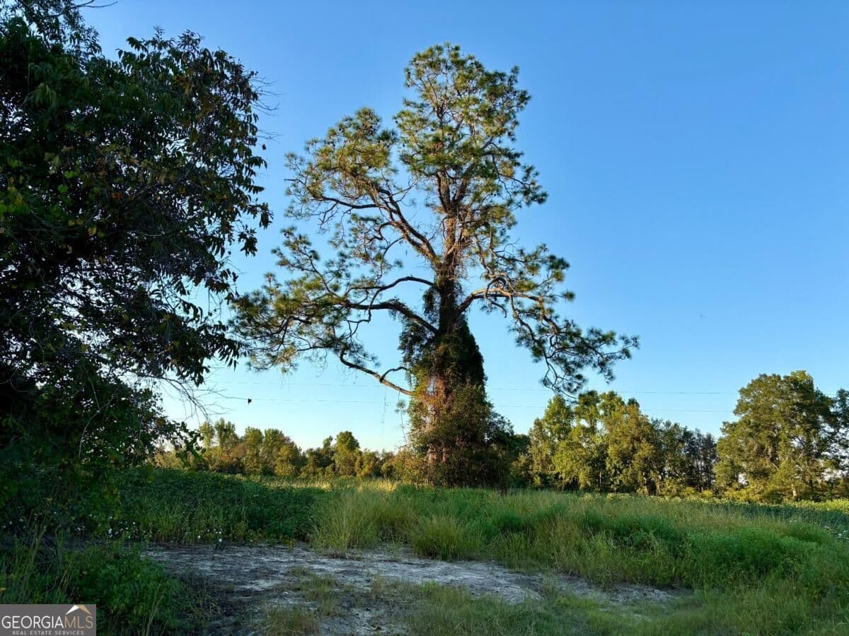 unimproved land for sale at 0 Old Moore Road 1, Portal, GA 30450 — photo 3