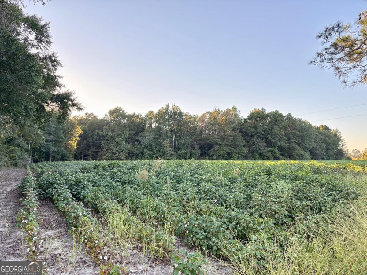 unimproved land for sale at 0 Old Moore Road 1, Portal, GA 30450 — photo 5