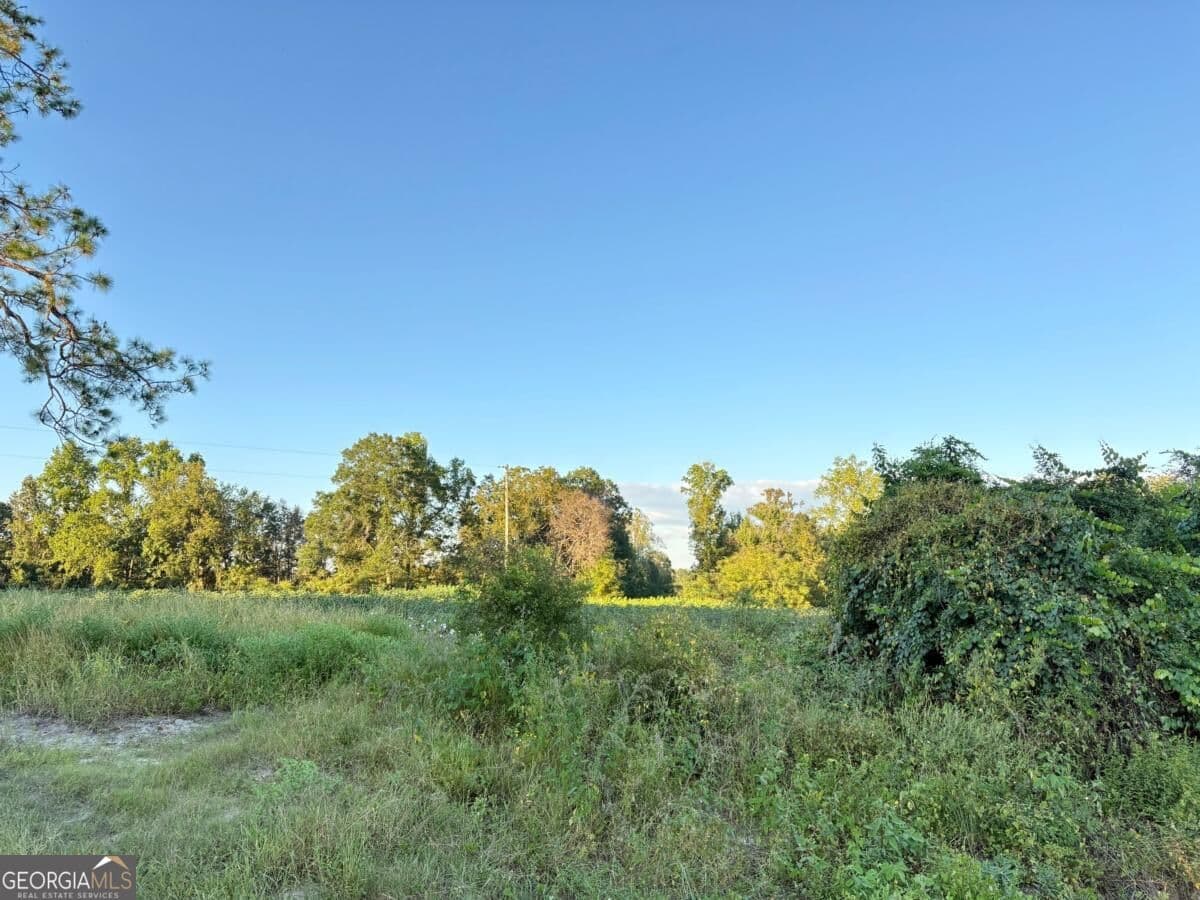 unimproved land for sale at 0 Old Moore Road 1, Portal, GA 30450 — photo 4