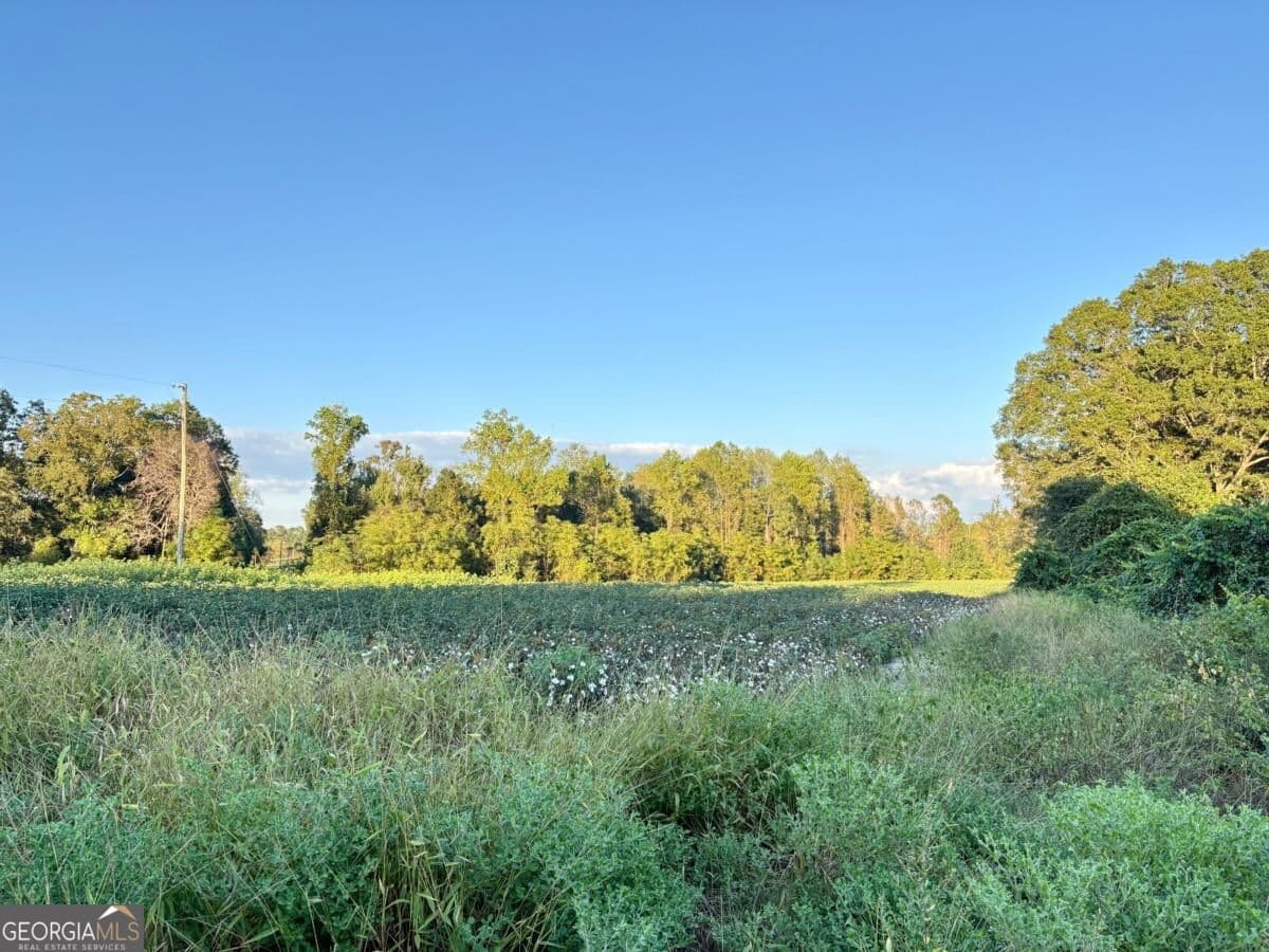 unimproved land for sale at 0 Old Moore Road 1, Portal, GA 30450 — photo 8
