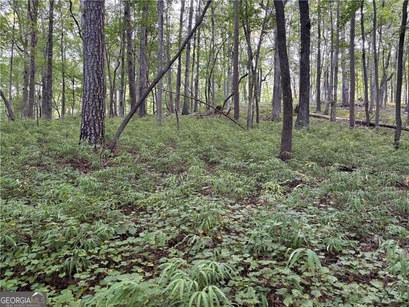 residential lot for sale at LOT 25 Norton Lane, Dahlonega, GA 30533 — photo 6