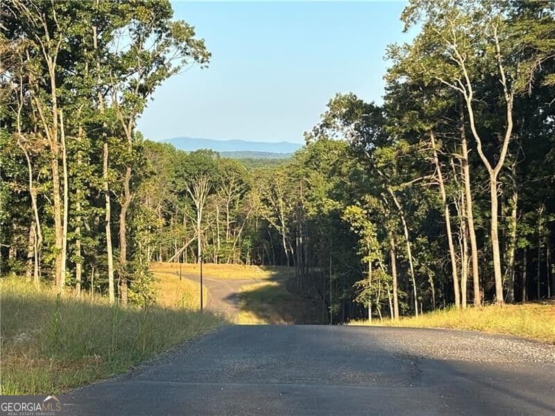 residential lot for sale at LOT 25 Norton Lane, Dahlonega, GA 30533 — photo 3
