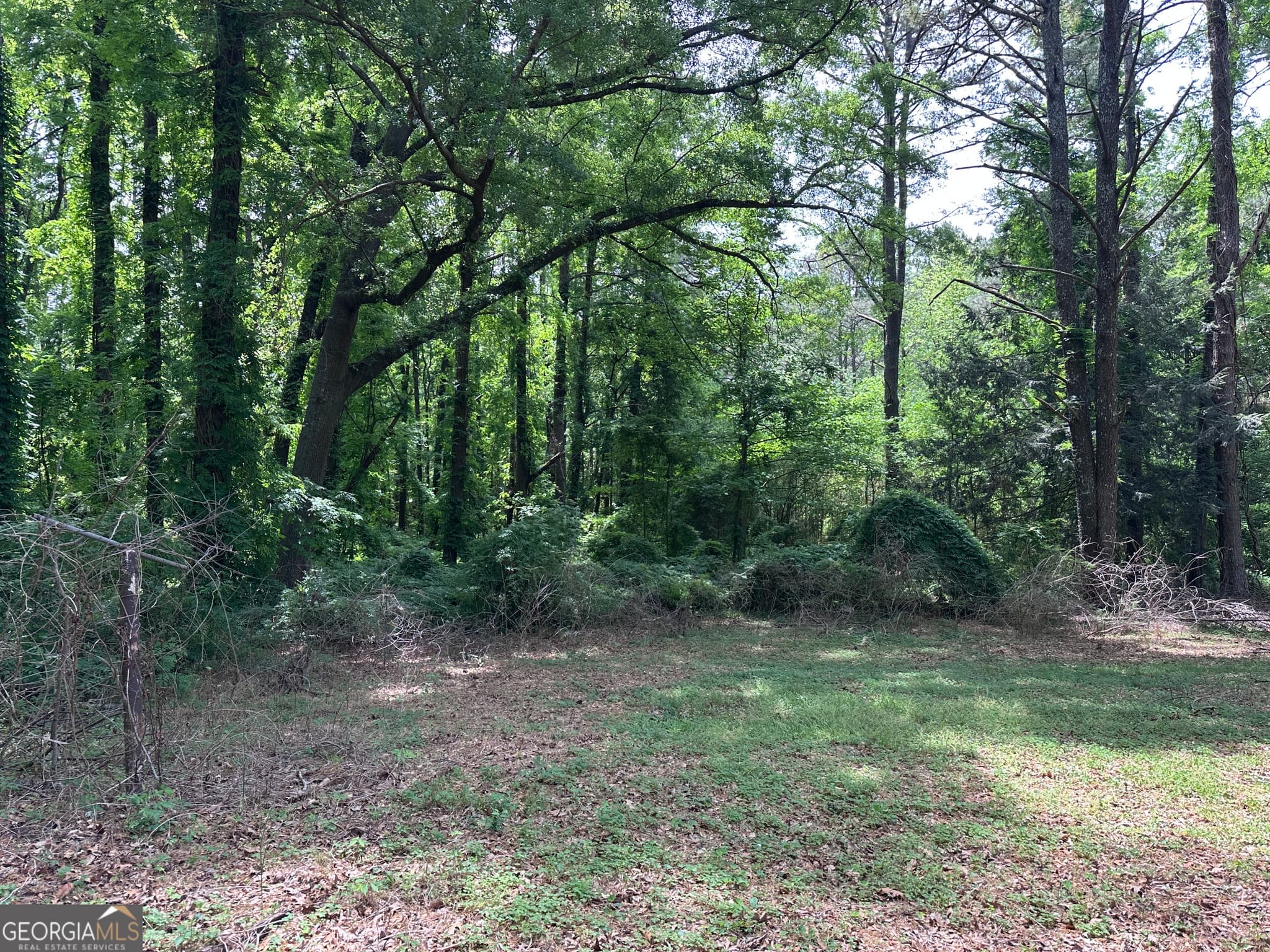 3 bedroom, 1 bathroom, 1,511 sq ft single family residence for sale at 2828 Flat Shoals Road, South Fulton, GA 30349 — photo 3