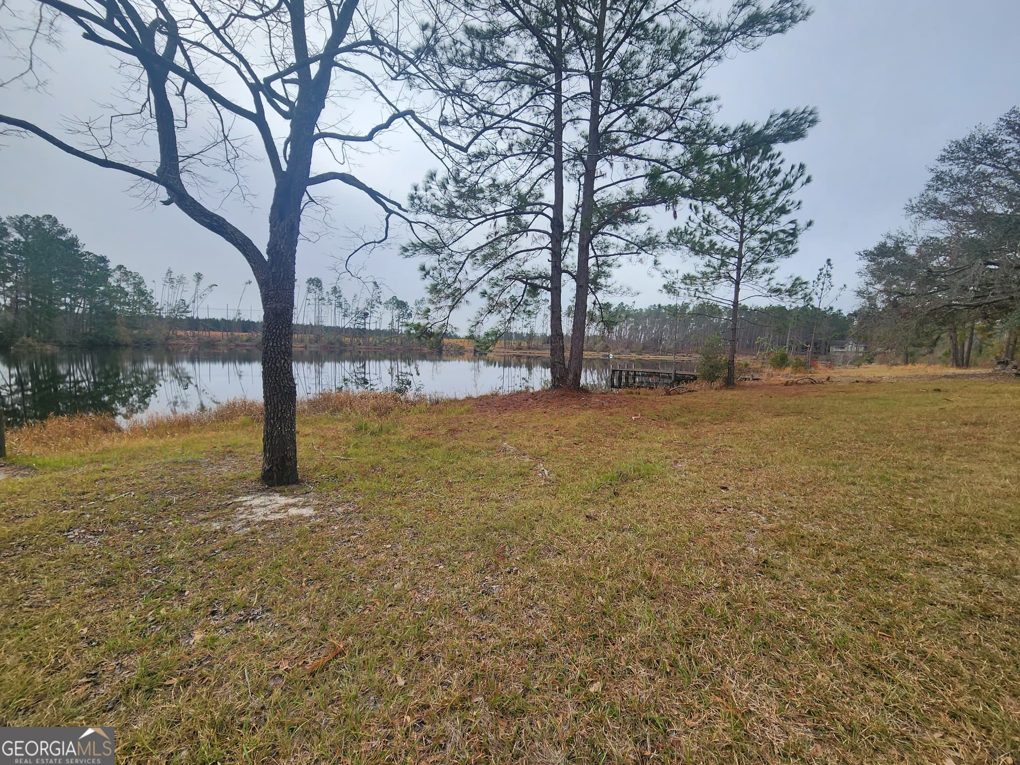 residential lot for sale at 0 Hammond Powell Road, Hazlehurst, GA 31539 — photo 3