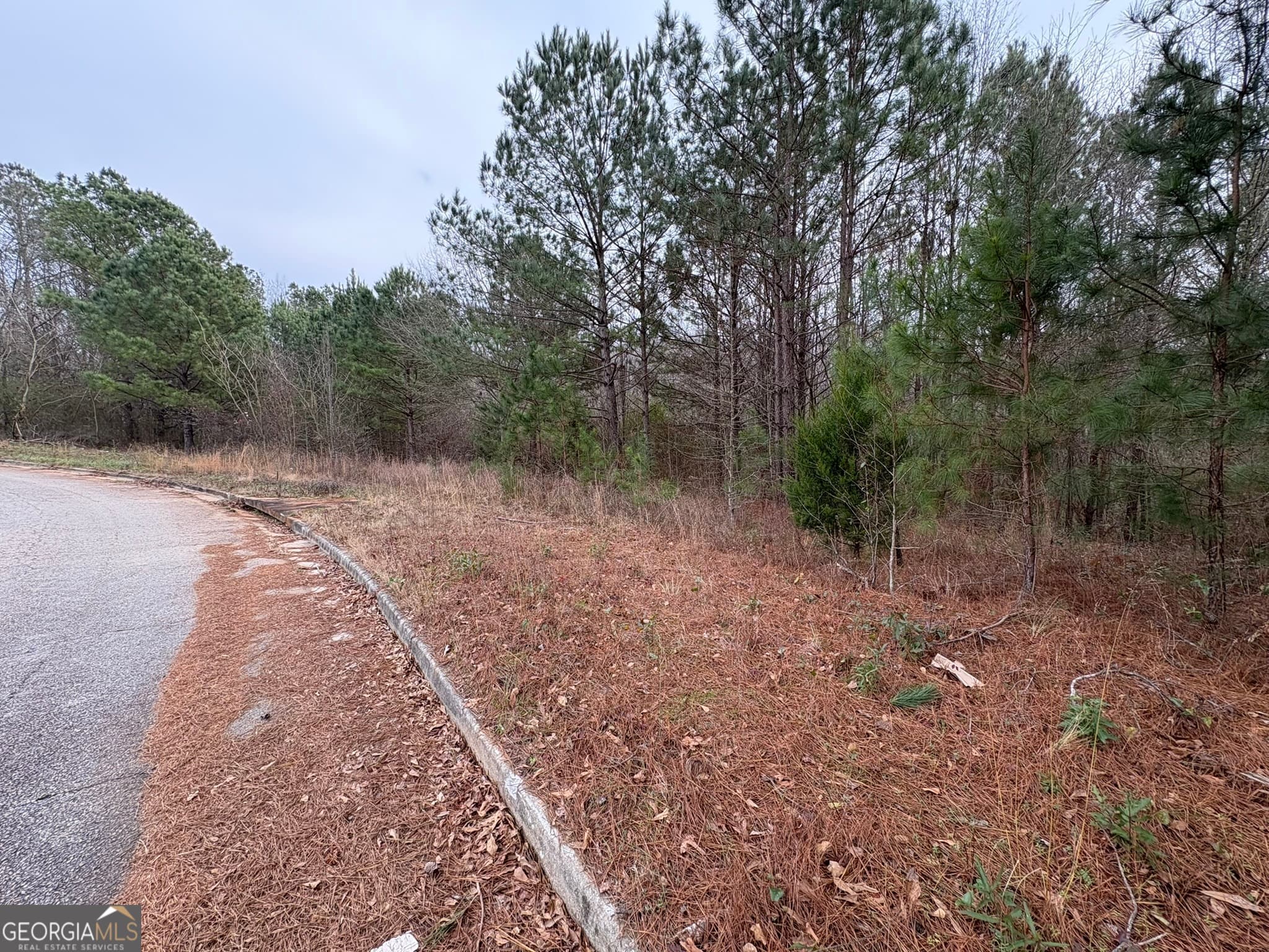 residential lot for sale at 125 Cardell Farms Road 57, Locust Grove, GA 30248 — photo 2