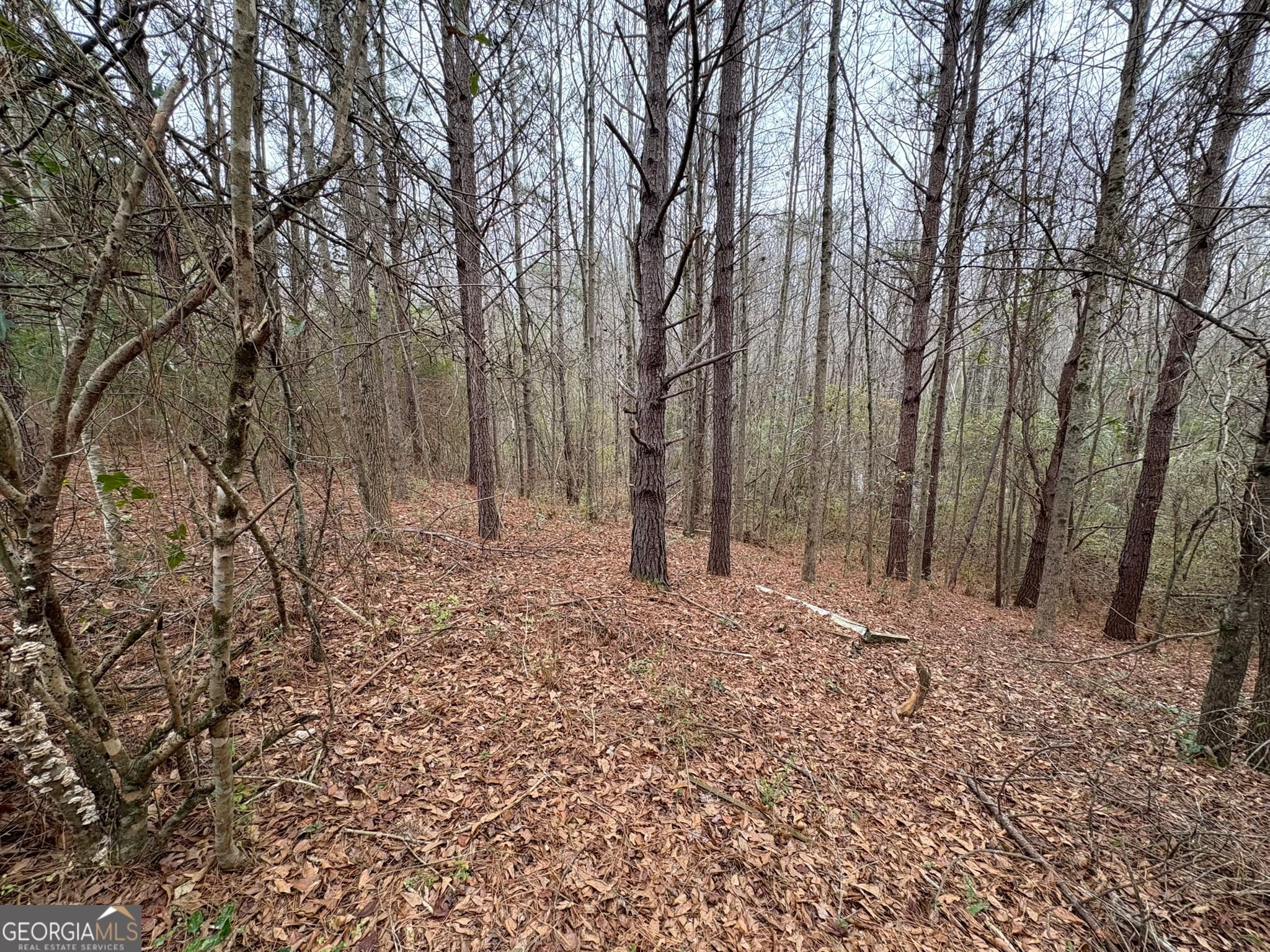 residential lot for sale at 125 Cardell Farms Road 57, Locust Grove, GA 30248 — photo 3