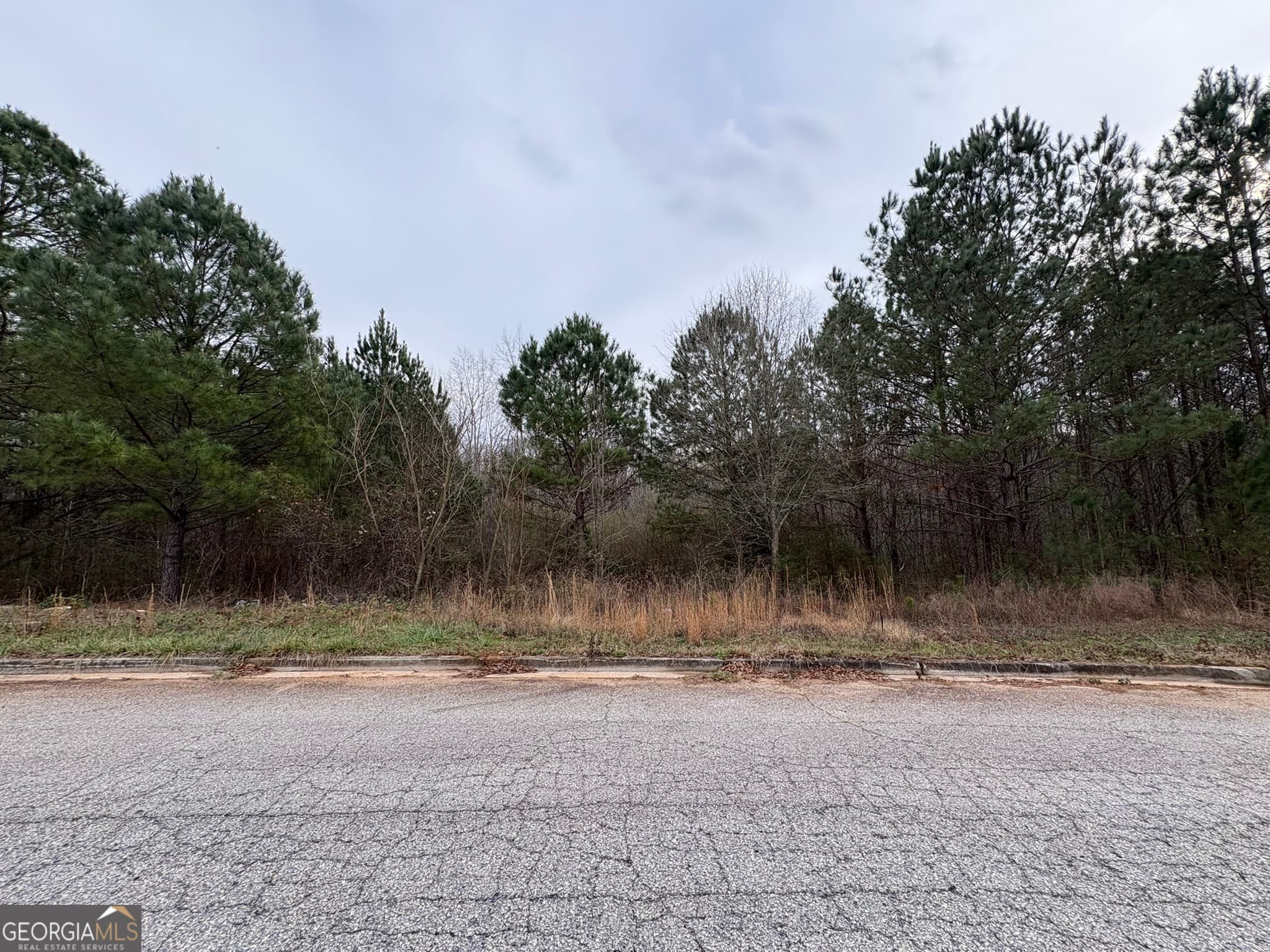 residential lot for sale at 125 Cardell Farms Road 57, Locust Grove, GA 30248 — photo 1 of 3