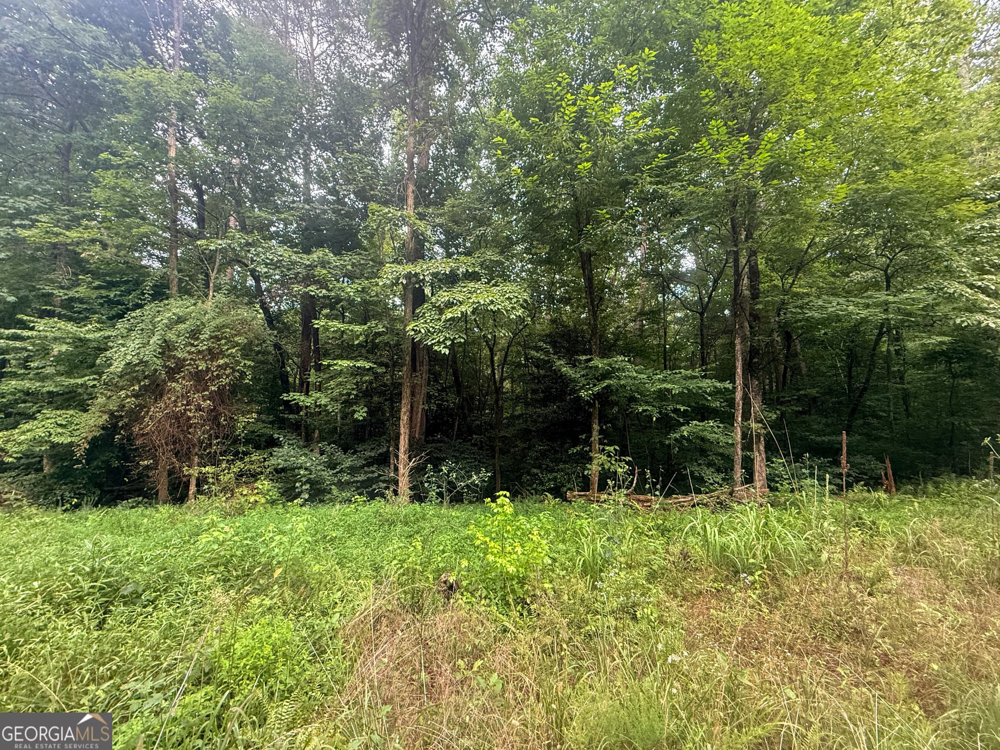 residential lot for sale at 0 Jesses Run, Ellijay, GA 30536 — photo 2