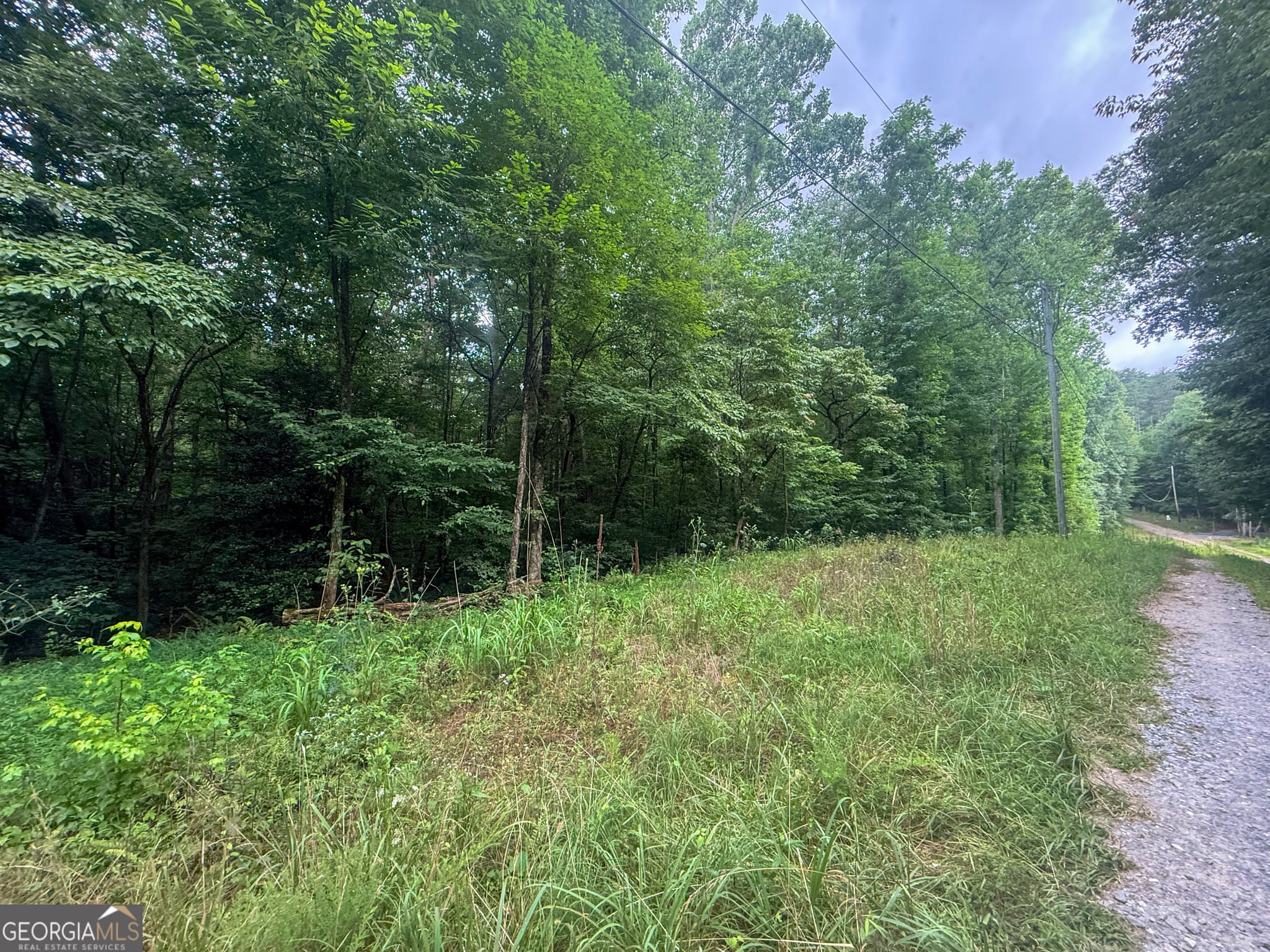 residential lot for sale at 0 Jesses Run, Ellijay, GA 30536 — photo 3