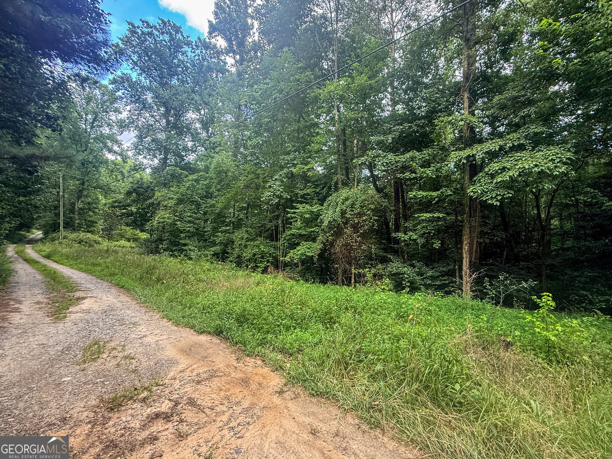 residential lot for sale at 0 Jesses Run, Ellijay, GA 30536 — photo 1 of 3