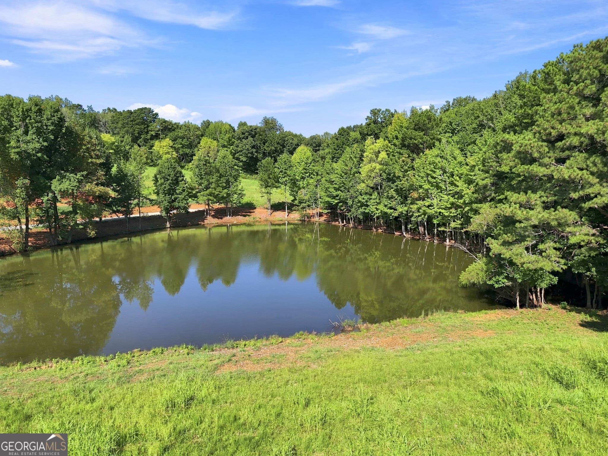 residential lot for sale at 7409 Cartersville Highway, Dallas, GA 30132 — photo 7