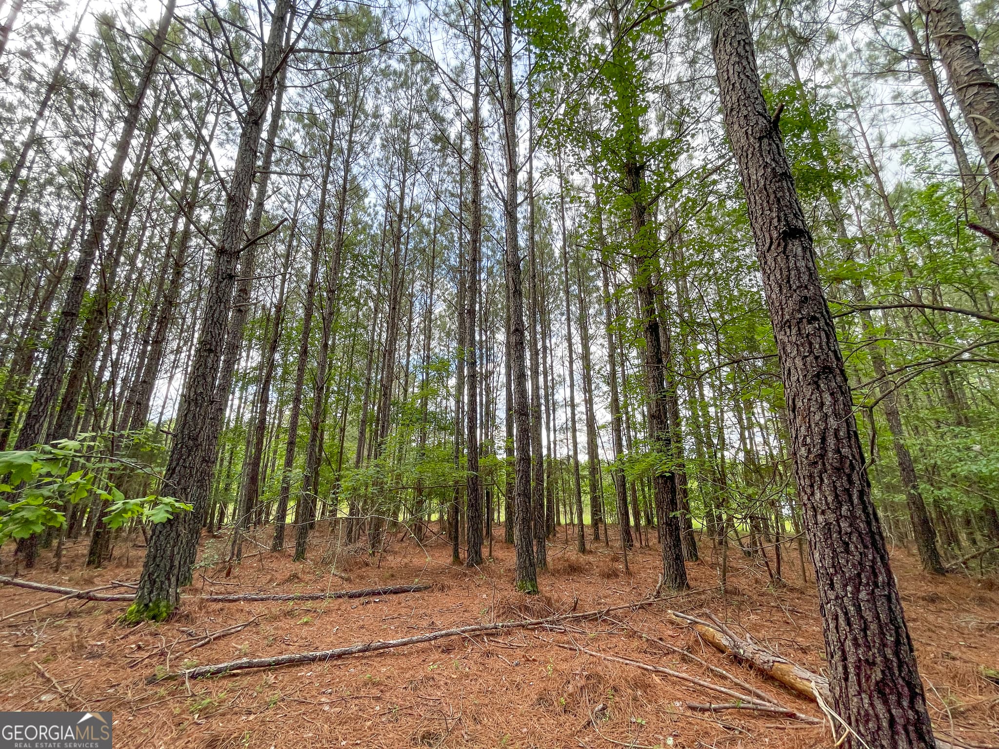 4 bedroom, 2 bathroom, 2,215 sq ft farm for sale at 7517 Blacks Bluff Road, Cave Spring, GA 30124 — photo 7