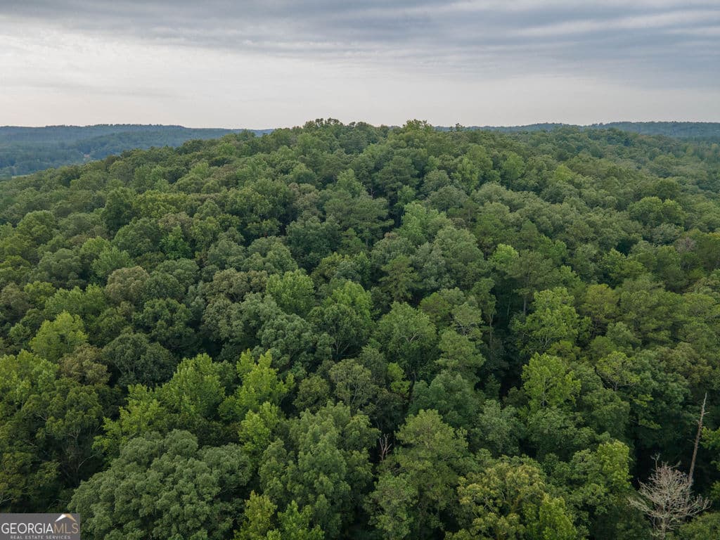 agriculture for sale at 0 Brazell Road, Chattahoochee Hills, GA 30268 — photo 2