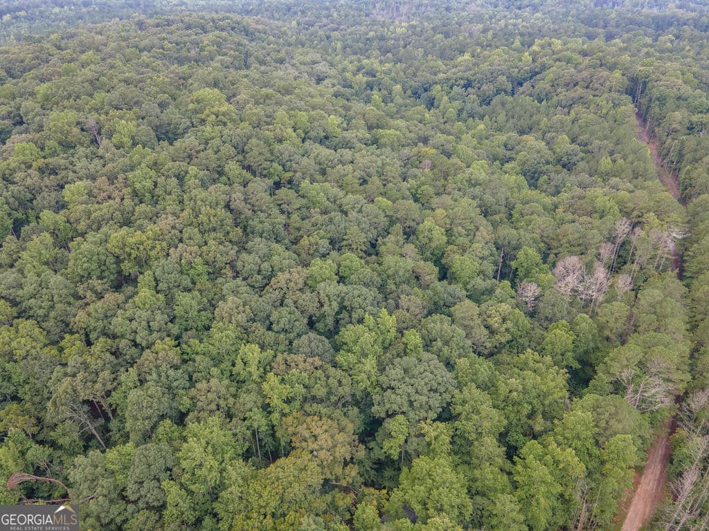agriculture for sale at 0 Brazell Road, Chattahoochee Hills, GA 30268 — photo 6