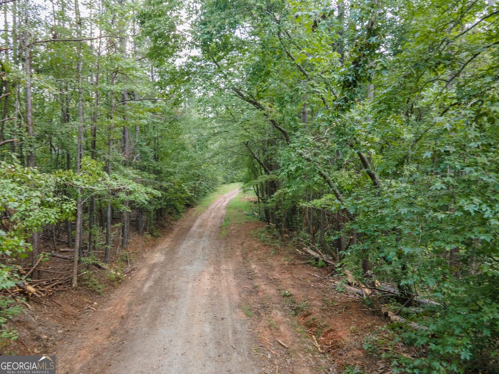 agriculture for sale at 0 Brazell Road, Chattahoochee Hills, GA 30268 — photo 7