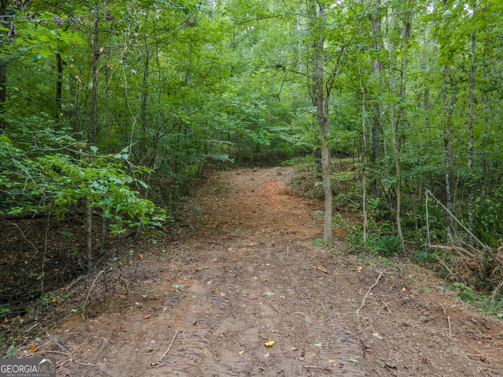agriculture for sale at 0 Brazell Road, Chattahoochee Hills, GA 30268 — photo 3