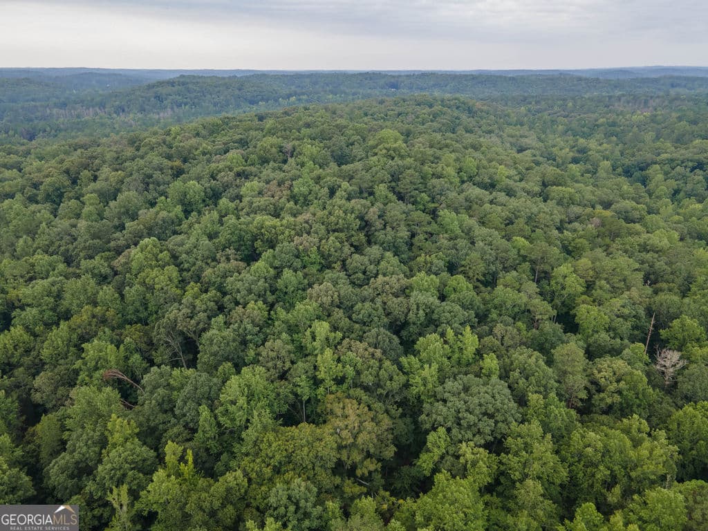 agriculture for sale at 0 Brazell Road, Chattahoochee Hills, GA 30268