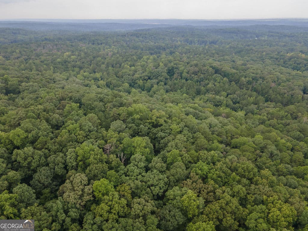 agriculture for sale at 0 Brazell Road, Chattahoochee Hills, GA 30268 — photo 5