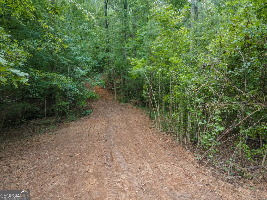 agriculture for sale at 0 Brazell Road, Chattahoochee Hills, GA 30268 — photo 9