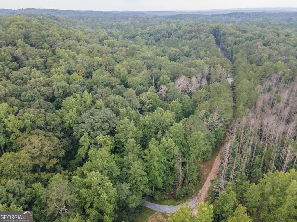 agriculture for sale at 0 Brazell Road, Chattahoochee Hills, GA 30268 — photo 10