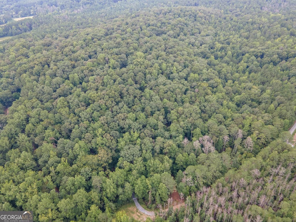 agriculture for sale at 0 Brazell Road, Chattahoochee Hills, GA 30268 — photo 4