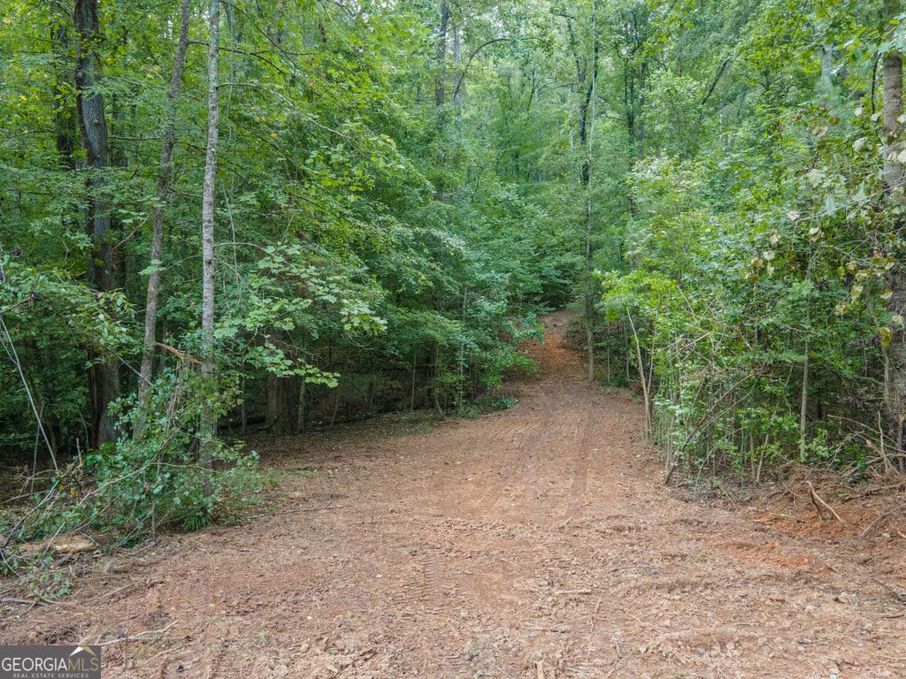 agriculture for sale at 0 Brazell Road, Chattahoochee Hills, GA 30268 — photo 8