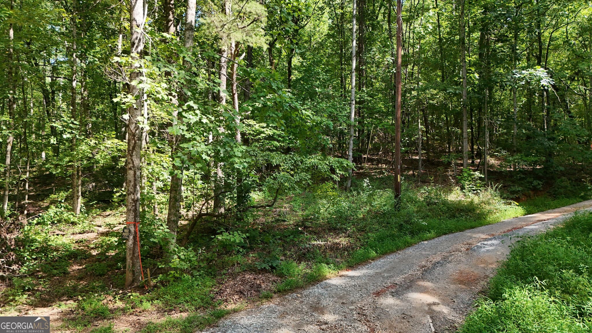 residential lot for sale at LOT 182 Hillside Drive, Clarkesville, GA 30523 — photo 2