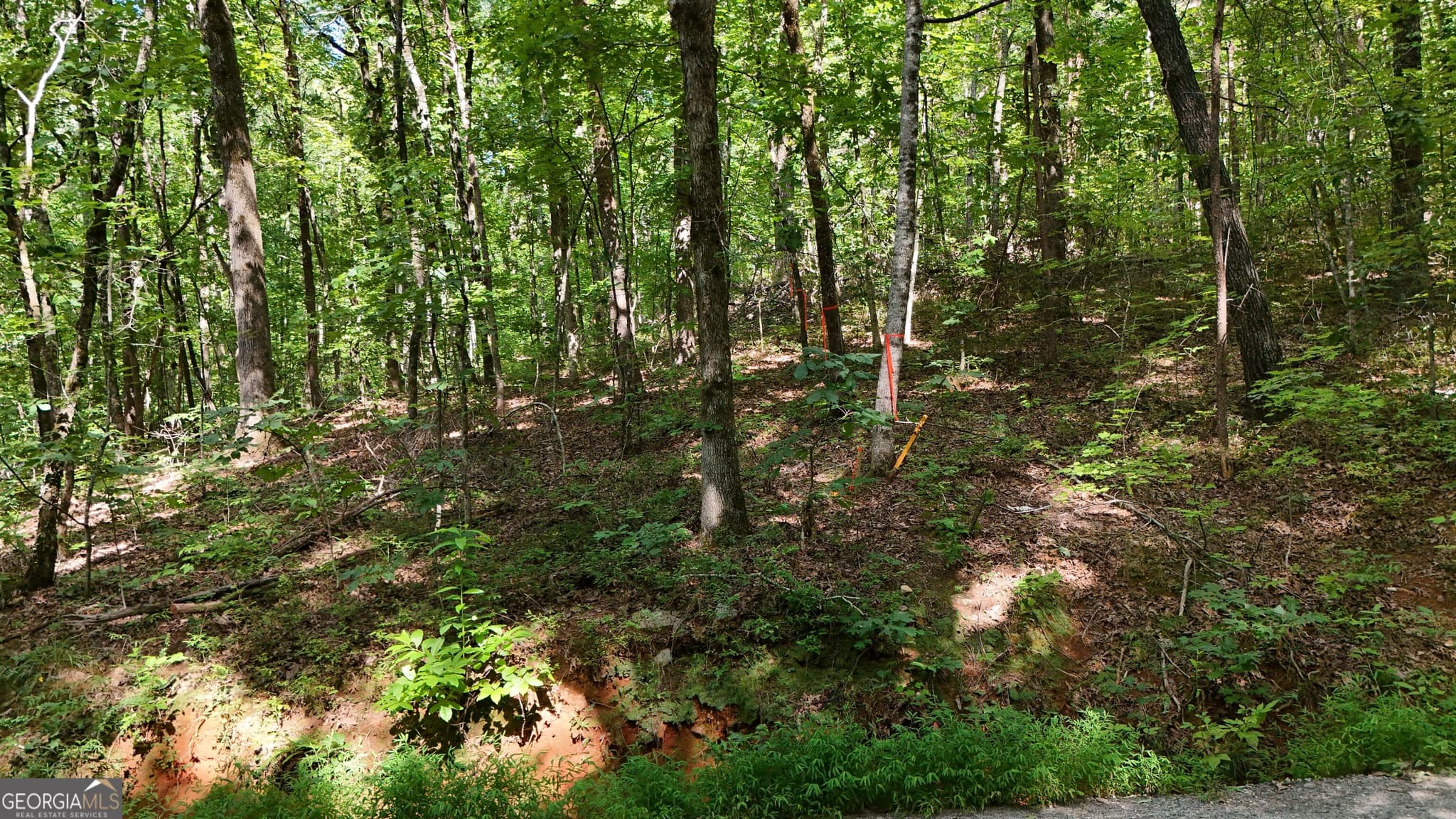 residential lot for sale at LOT 182 Hillside Drive, Clarkesville, GA 30523 — photo 3