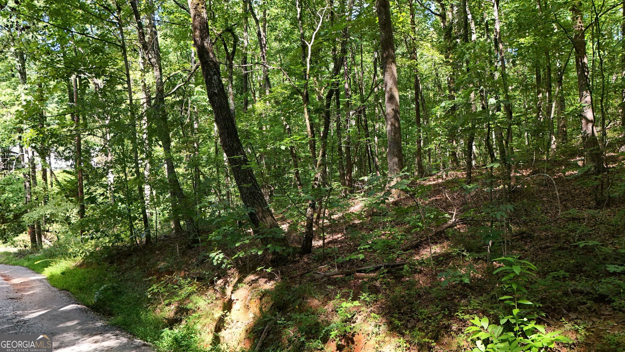 residential lot for sale at LOT 182 Hillside Drive, Clarkesville, GA 30523 — photo 4