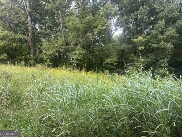residential lot for sale at 0 Ridge North Drive, Lafayette, GA 30728 — photo 2