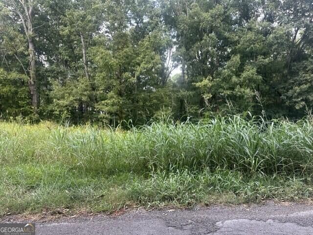residential lot for sale at 0 Ridge North Drive, Lafayette, GA 30728