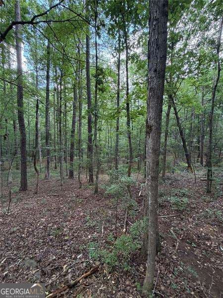 residential lot for sale at 0 SERENITY, Cataula, GA 31804 — photo 6