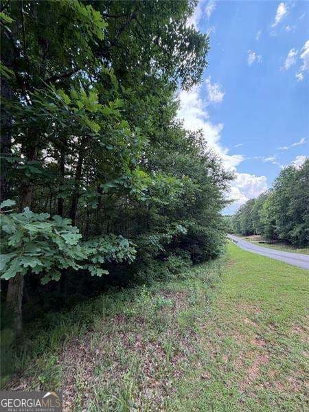 residential lot for sale at 0 SERENITY, Cataula, GA 31804 — photo 3
