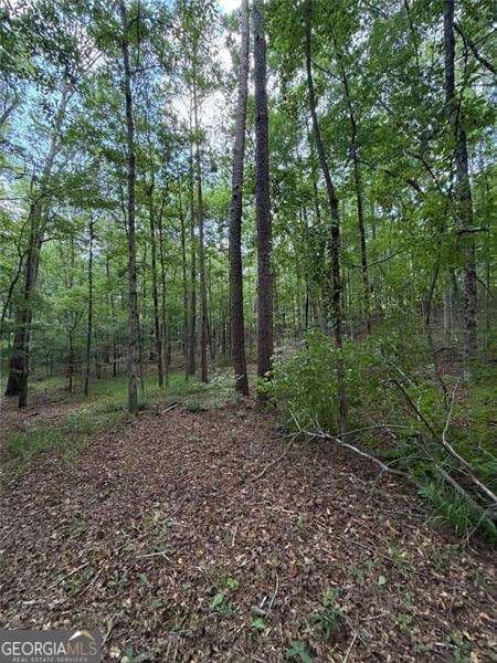 residential lot for sale at 0 SERENITY, Cataula, GA 31804 — photo 9