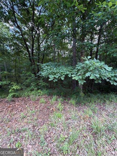 residential lot for sale at 0 SERENITY, Cataula, GA 31804 — photo 10