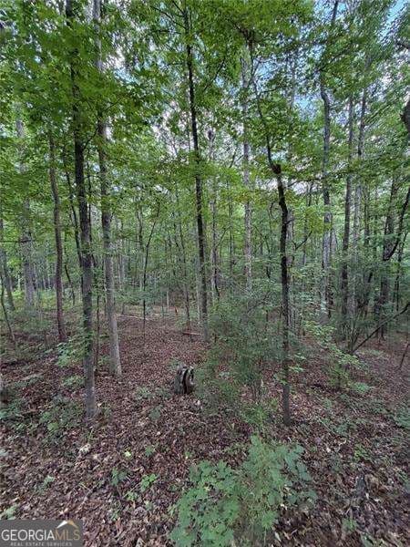 residential lot for sale at 0 SERENITY, Cataula, GA 31804 — photo 4