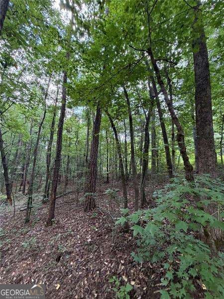 residential lot for sale at 0 SERENITY, Cataula, GA 31804 — photo 8